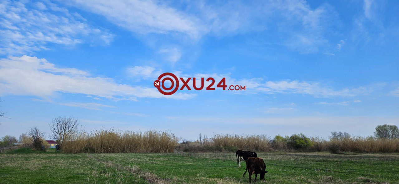 3 apreldə hava NECƏ OLACAQ?    —   PROQNOZ