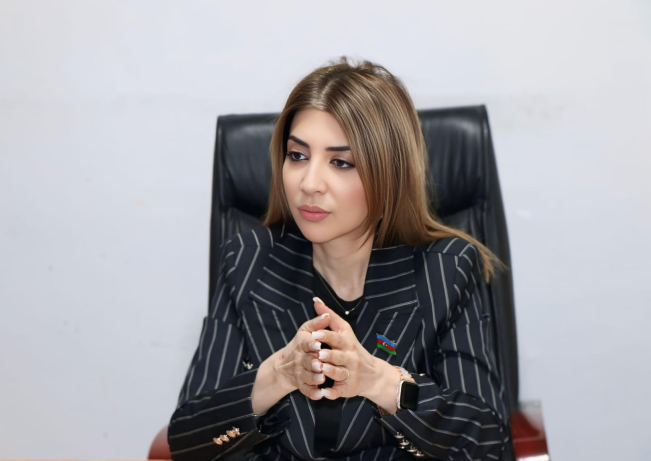 “Cənubi Qafqazın gələcəyi Azərbaycanın iradəsi ilə müəyyən olunur”- Günay Ağamalı   