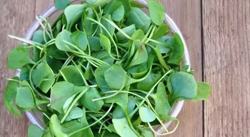 Dünyanın ən sağlam tərəvəzi seçildi&nbsp; &nbsp; —&nbsp; &nbsp;Azərbaycanda hər yerdə var