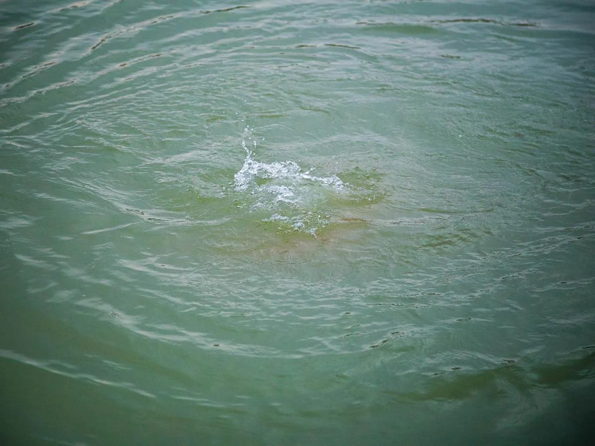 &nbsp;37 yaşlı kişi kanalda boğulub&nbsp;