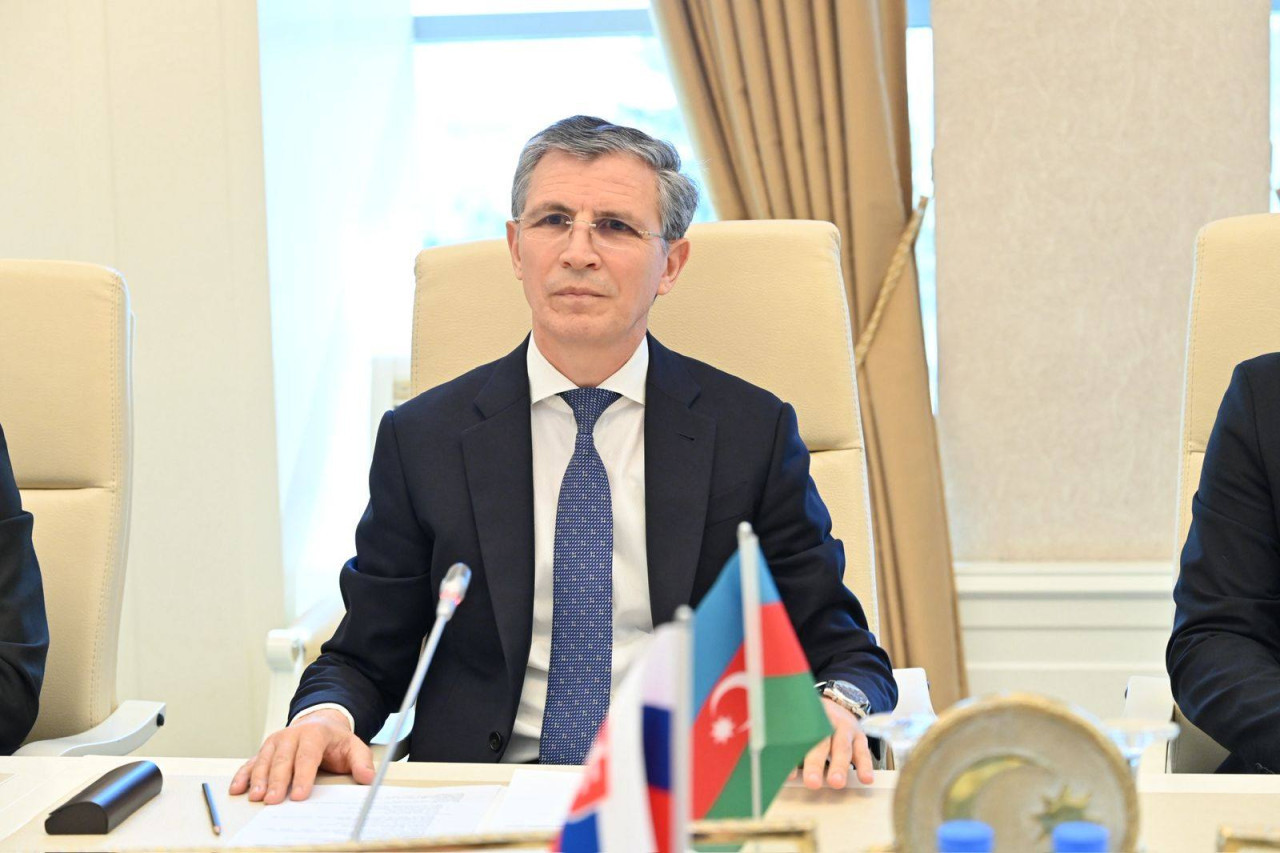 Milli Məclisinin İnsan hüquqları komitəsində slovakiyalı Ombudsmanla görüş keçirilib - FOTO