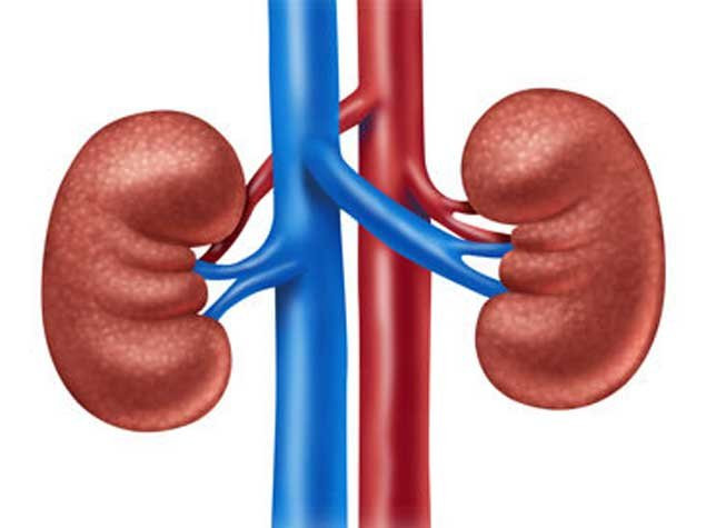 7 əsas faktor – Həkimlər xəbərdarlıq edir  