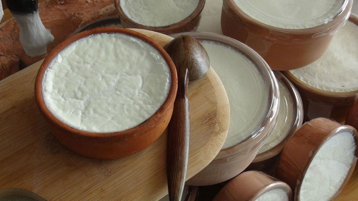 Bu xəbərdən sonra hər kəs yatmazdan əvvəl qatıq yeyəcək    —  Məşhur həkimin tövsiyəsi  