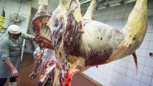 Azərbaycanda külli miqdarda at əti aşkarlandı&nbsp;