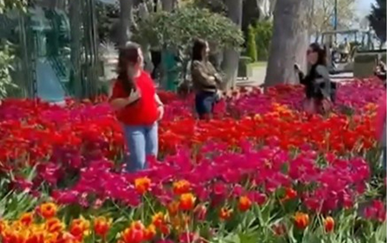 Bulvarda gülləri əzən qadınlar görün kimlər imiş  -VİDEO YAYILDI