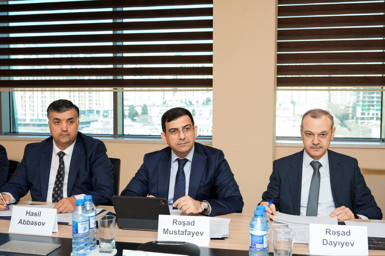 İşğaldan azad edilmiş ərazilərdə məşğulluğun təminatı ilə bağlı işlər görülür&nbsp;