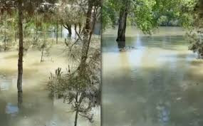 Kür daşdı, bu rayonu su basdı 