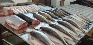 Xaricdən kiloqramı 2 manata alınan balıq niyə 35 manata satılır? – VİDEO