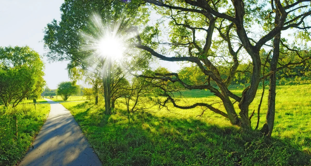 Dolu ilə bağlı XƏBƏRDARLIQ