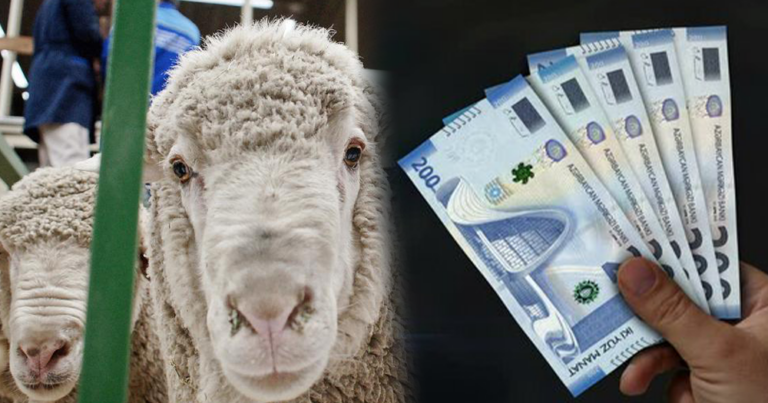 ŞAD XƏBƏR: Qurban bayramında bu ailələrə maddi yardım veriləcək?