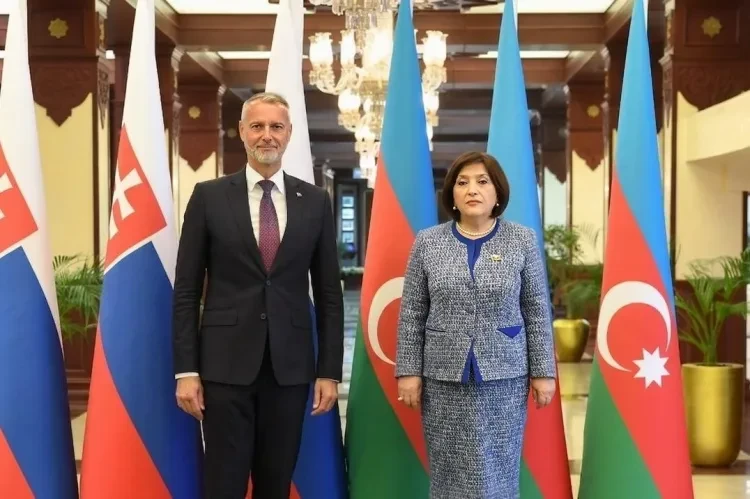 Sahibə Qafarova Slovakiya Milli Şurasının sədri ilə görüşdü - FOTO