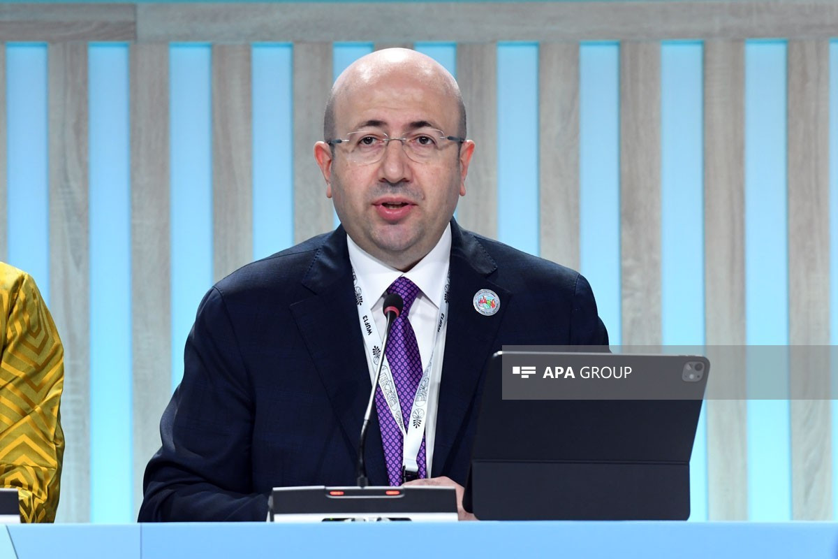 Anar Quliyev: Azad edilmiş ərazilərdə 1,1 milyon insanın məskunlaşdırılması nəzərdə tutulur&nbsp;