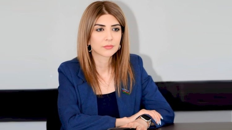“Uşaqpulu tənbəllik yarada bilər” – Deputatın açıqlaması gündəm oldu&nbsp;