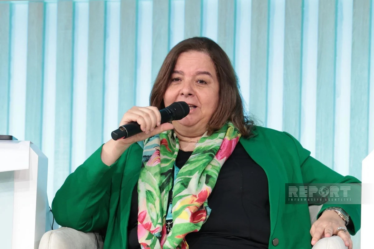 May Abdel Hamid: \"Misirdə mənzil siyasəti üçün benefisiarların hədəflənmə mexanizmi hazırlanıb\"&nbsp;