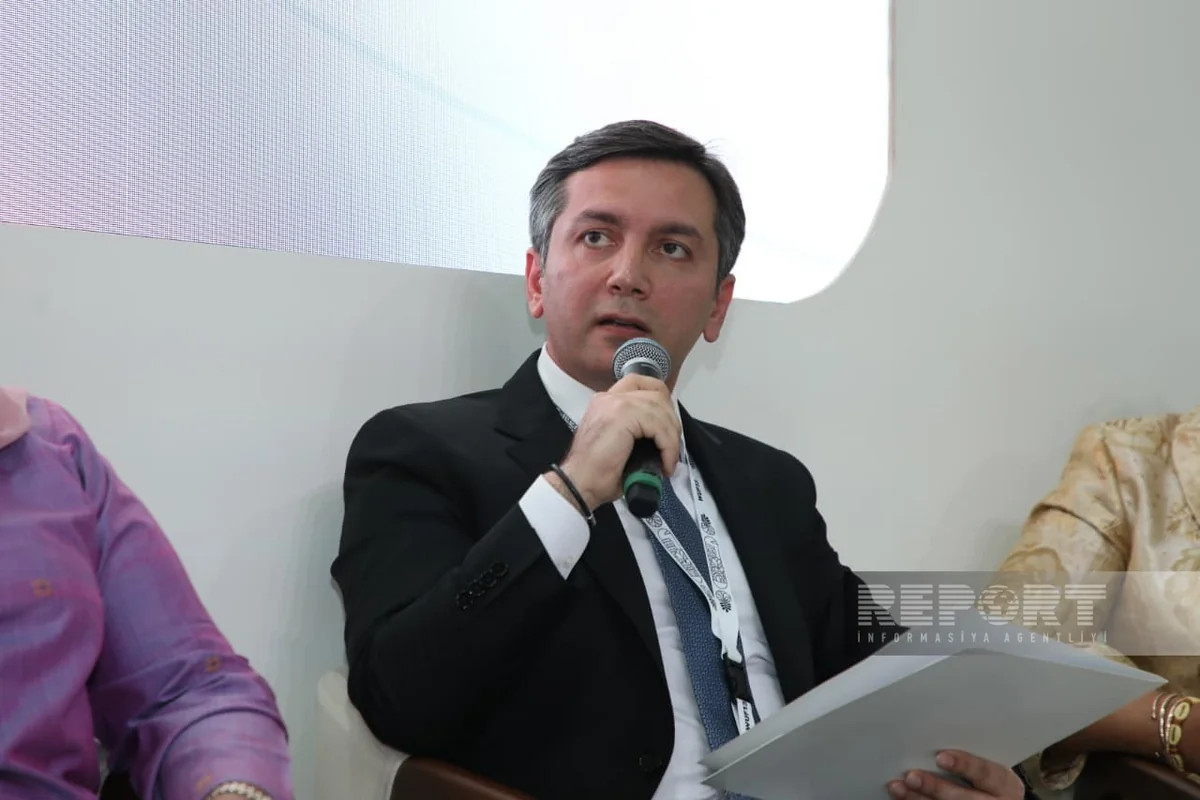 Yalçın Rəfiyev: Əhalinin mənzillə təmin edilməsi üçün beynəlxalq maliyyələşmənin genişləndirilməsi lazımdır&nbsp;