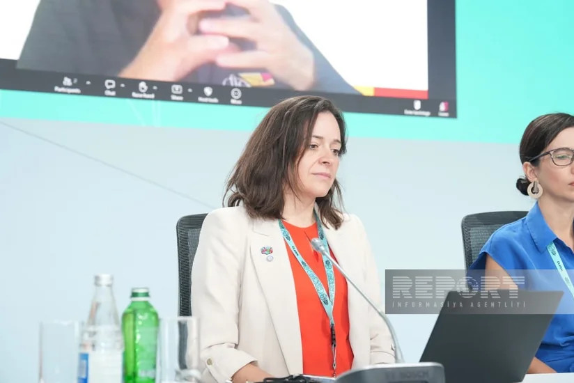 Fiona Littlejohn: \"Şəhərləşmə Latın Amerikası və Karib hövzəsində qeyri-bərabərliyi dərinləşdirir\"&nbsp;
