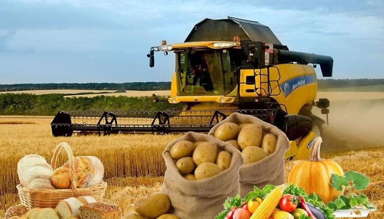 Nazirlik rəsmi rəqəmləri yaydı: Azərbaycanda istehsalat nə yerdədir?