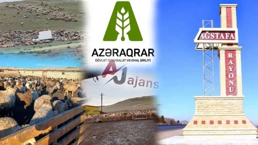 Şəhid yoldaşı Azəraqrardan ŞİKAYƏTÇİDİR: Torpaq var amma müqavilə İMZALANMAYIB&nbsp;