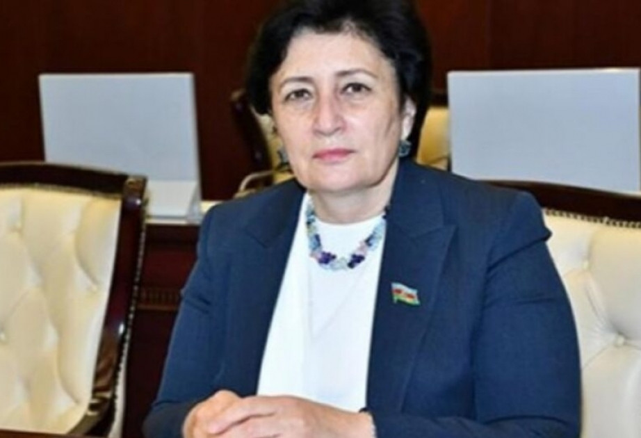 Məlahət İbrahimqızı: AYNA ilə bağlı şikayətlər artır