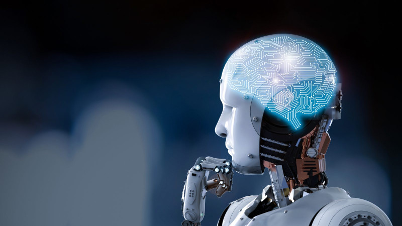 Bolqarıstanda robot şurası YARADILIR