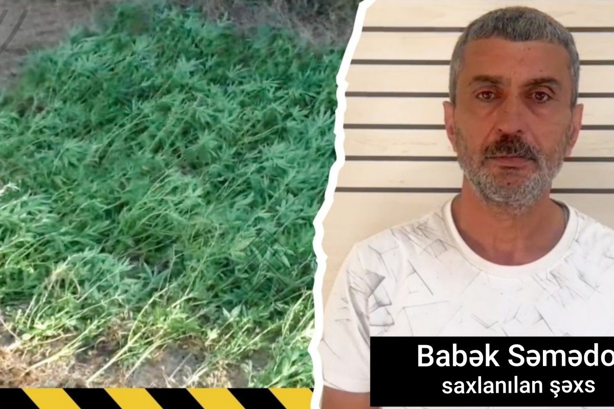 Çay kənarında çətənə kolları yetişdirən şəxs saxlanılıb