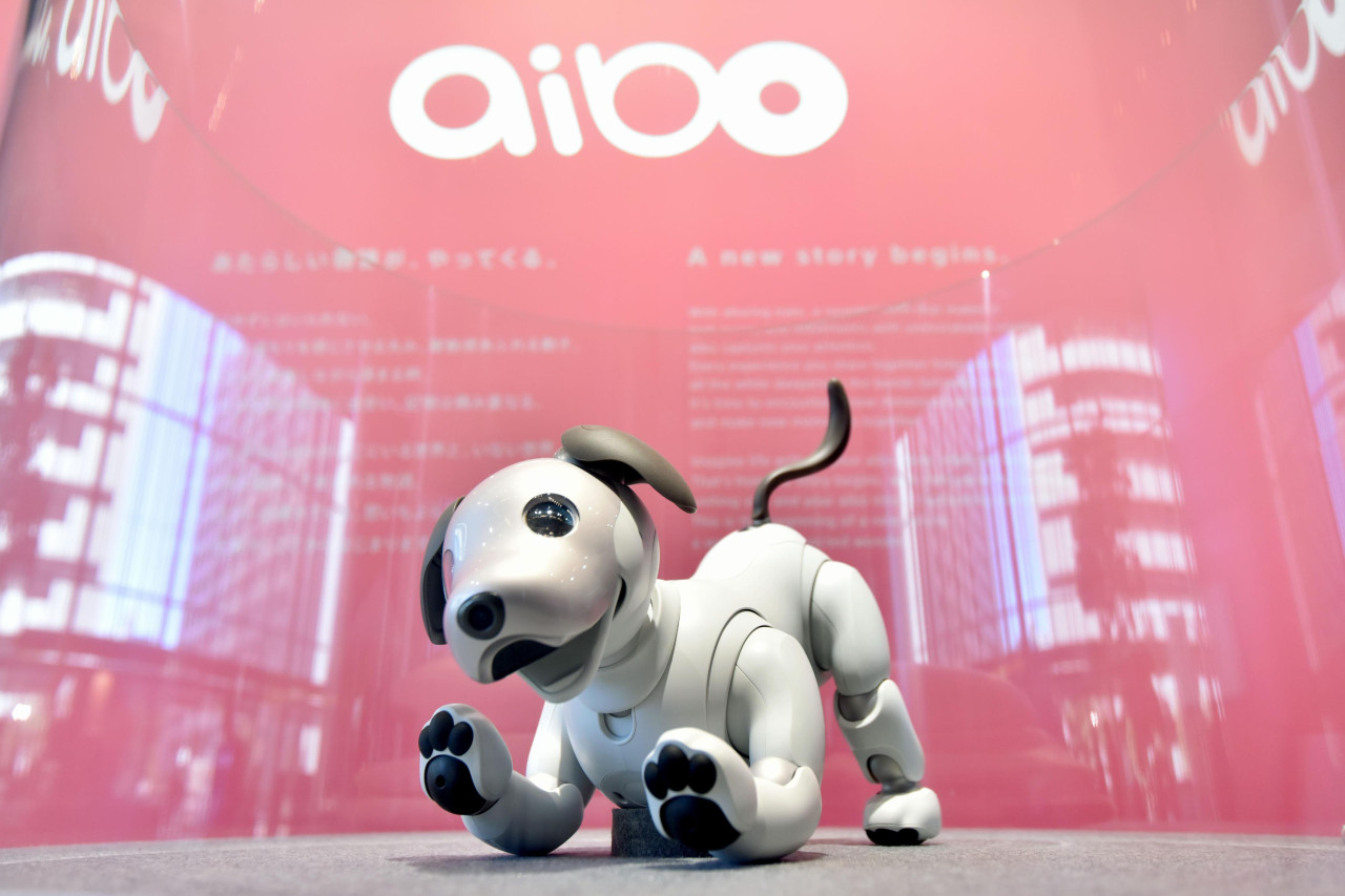 Sony Yaponiyada robot it “aibo”nun satışını dayandırıb