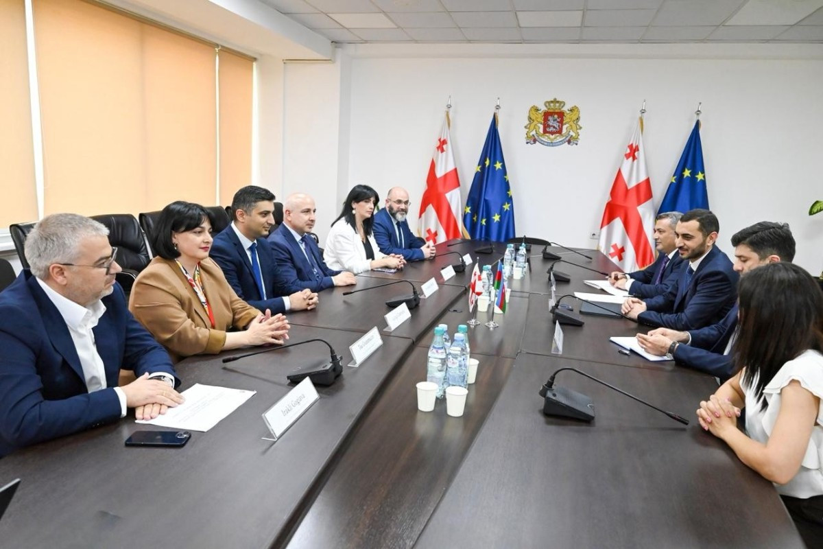 DSMF sədri Gürcüstan Sosial Xidmət Agentliyinin direktoru ilə görüşüb&nbsp;
