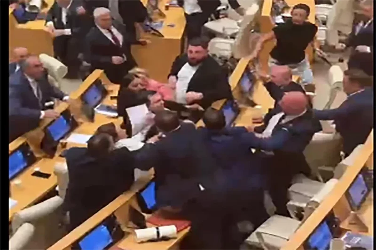 Gürcüstan parlamentinin iclasında dava düşüb - VİDEO&nbsp;