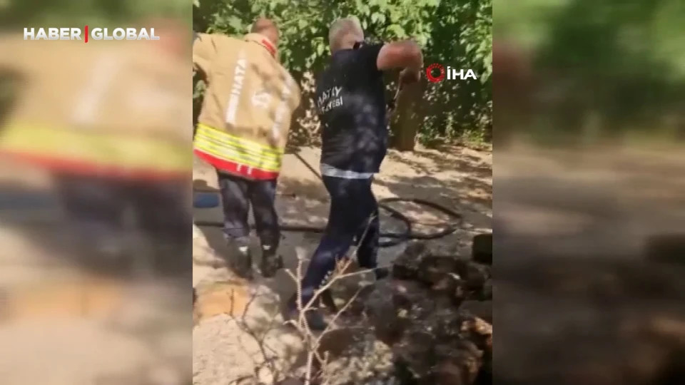Həyətə girən ilan təşviş yaratdı