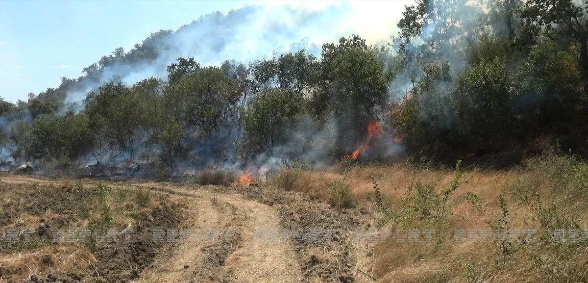 Ağdamın Kəngərli kəndində açıq ərazidə yanğın başlayıb&nbsp;