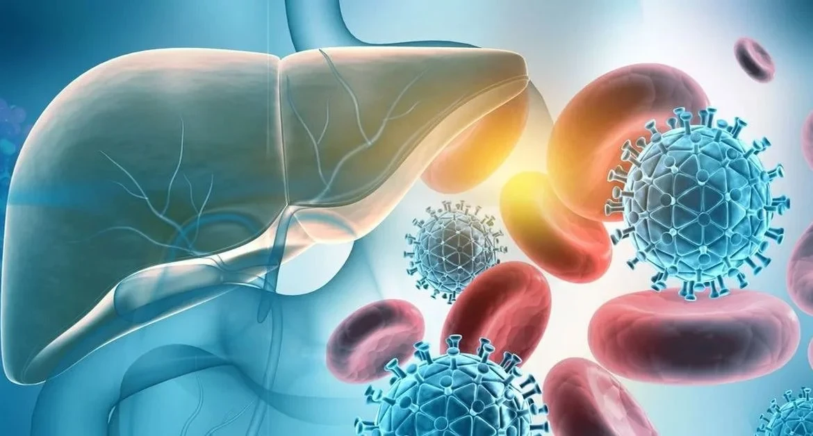 Autoimmun hepatit zamanı bədən öz hüceyrələrinə necə hücum edir? —&nbsp;Mütəxəssisdən VACİB AÇIQLAMA