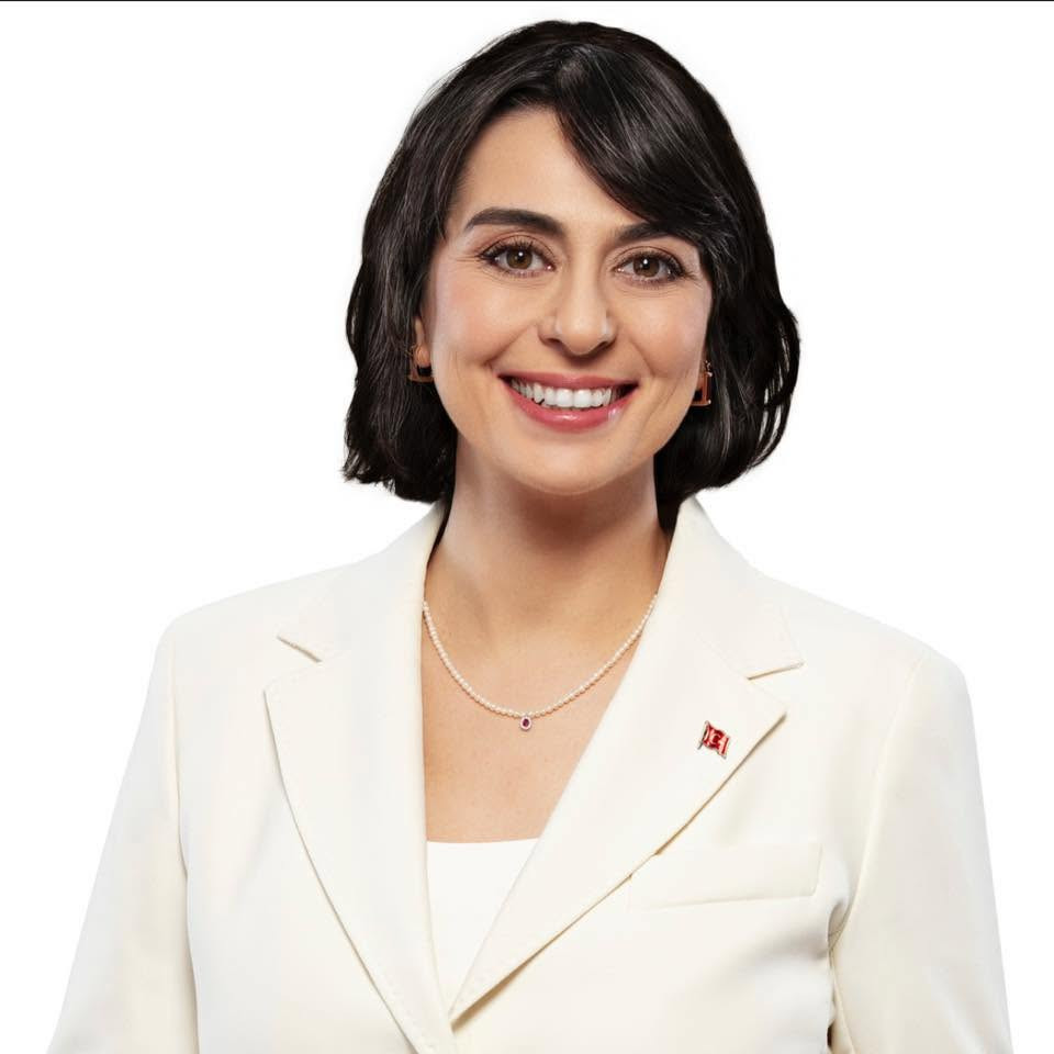 Daha bir bələdiyyə sədri saxlanıldı&nbsp;