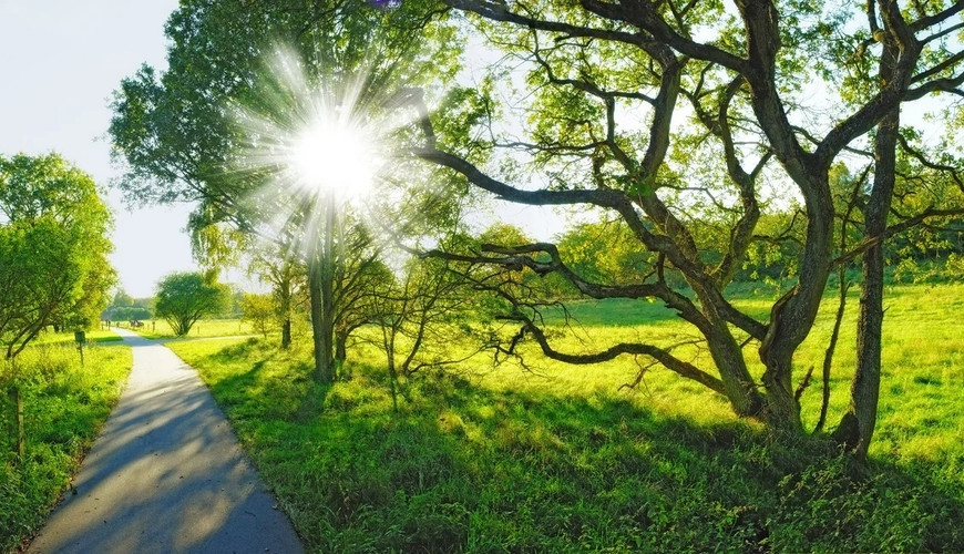 Sabahın havası açıqlandı&nbsp;
