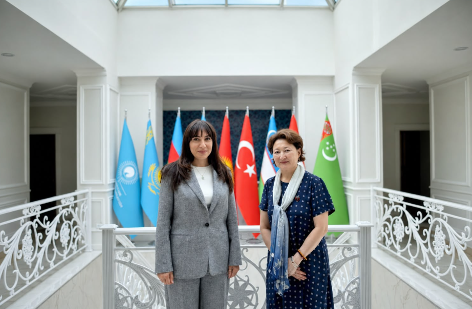 Türk Mədəniyyəti və İrsi Fondunun prezidenti Azərbaycanın Macarıstanda yeni təyin olunmuş səfiri ilə görüşüb  