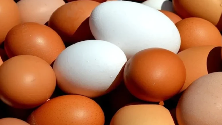 Bu ölkədə yumurtalarla bağlı xəbərdarlıq: Yüzlərlə insan xəstəxanaya yerləşdirildi