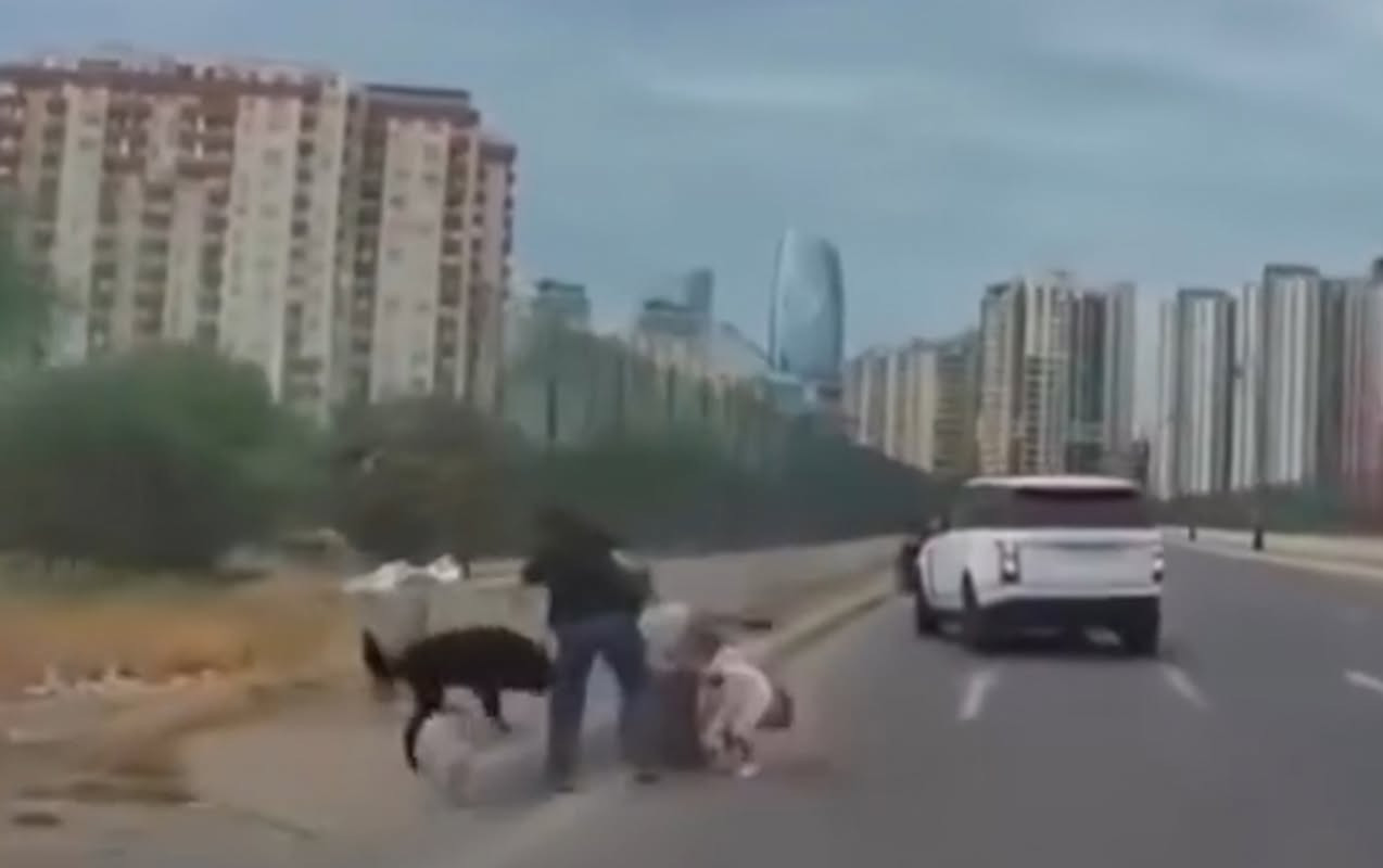 Bakıda sahibsiz it uşaqlı qadına hücum etdi - Video&nbsp;