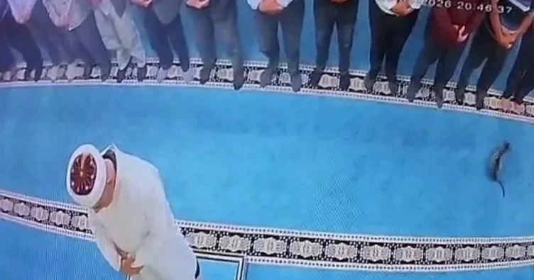 Pişiyə görə həbs edildi -DETALLAR