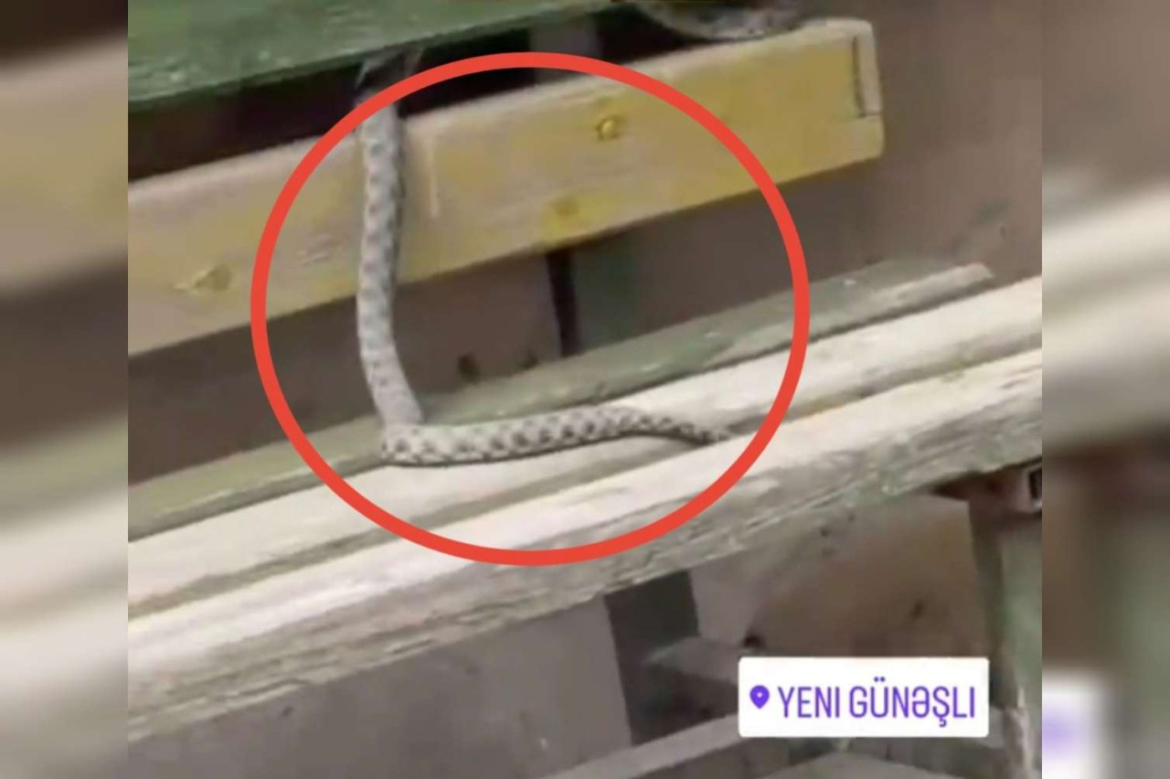 Yeni Günəşlini ilan basıb - VİDEO&nbsp;