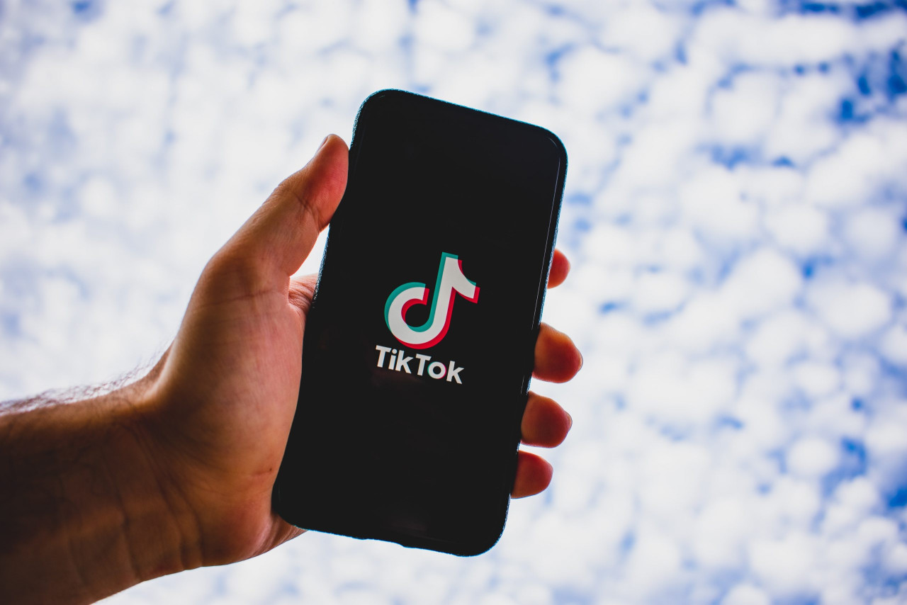 Orxan saxlanıldı: “TikTok”da qoyun elanına görə