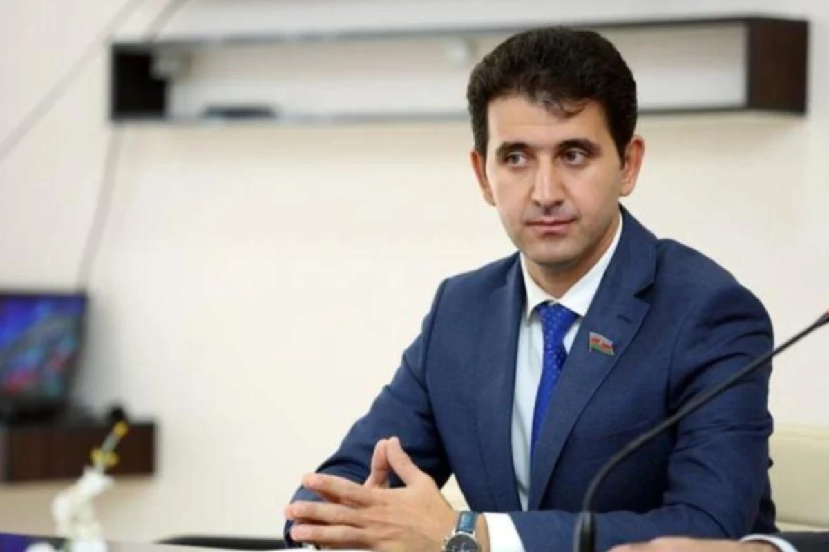 Gəncənin deputatı Milli Məclisdə bu problemdən danışdı
