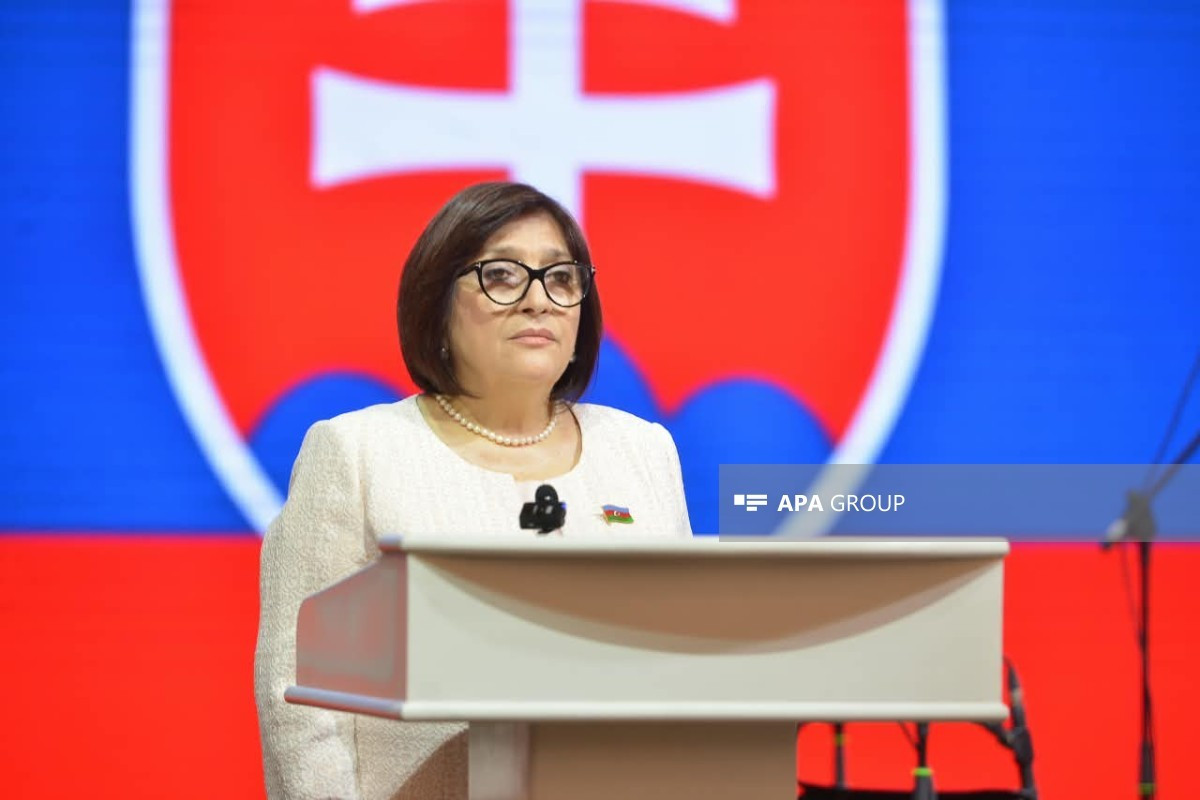 Sahibə Qafarova: Azərbaycan-Slovakiya münasibətləri strateji tərəfdaşlıq səviyyəsinə yüksəlib&nbsp;