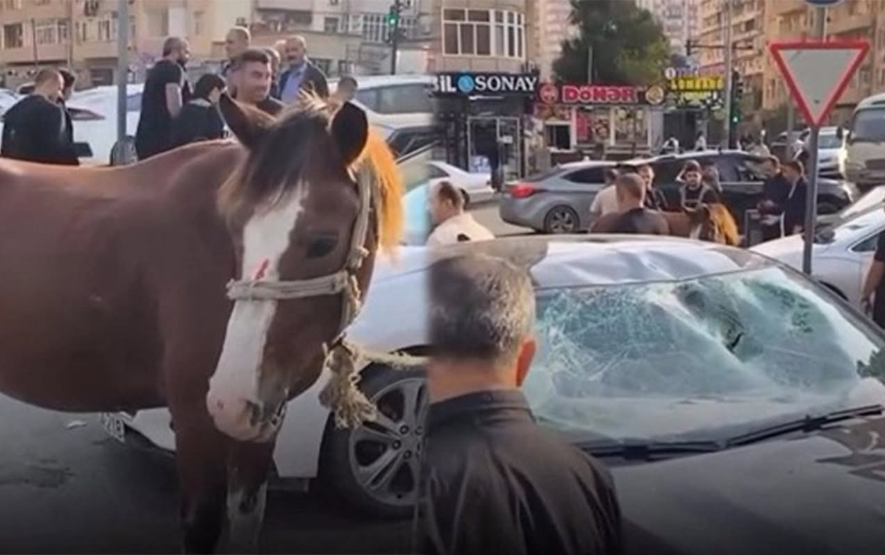 Bakıda maşın atla toqquşdu - Video 