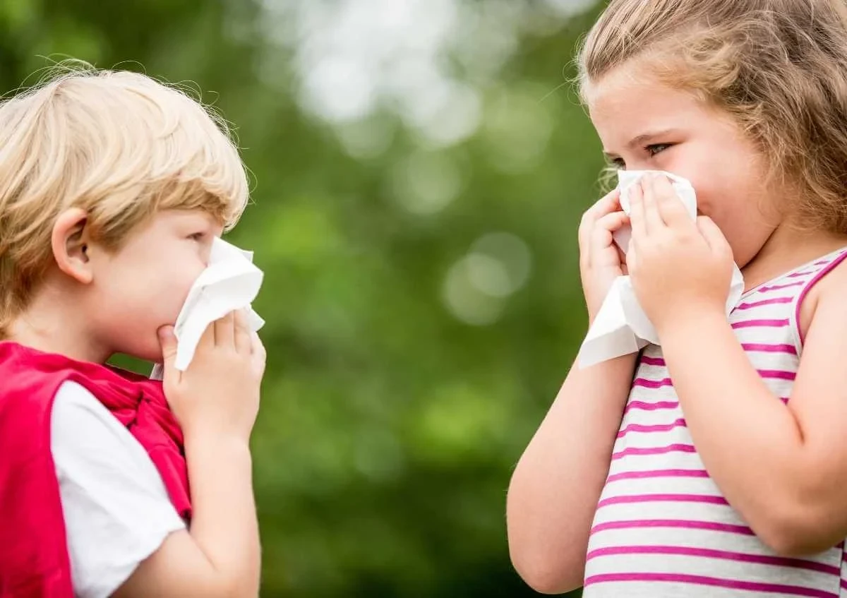 Allergik rinit zamanı burunda nə baş verir?