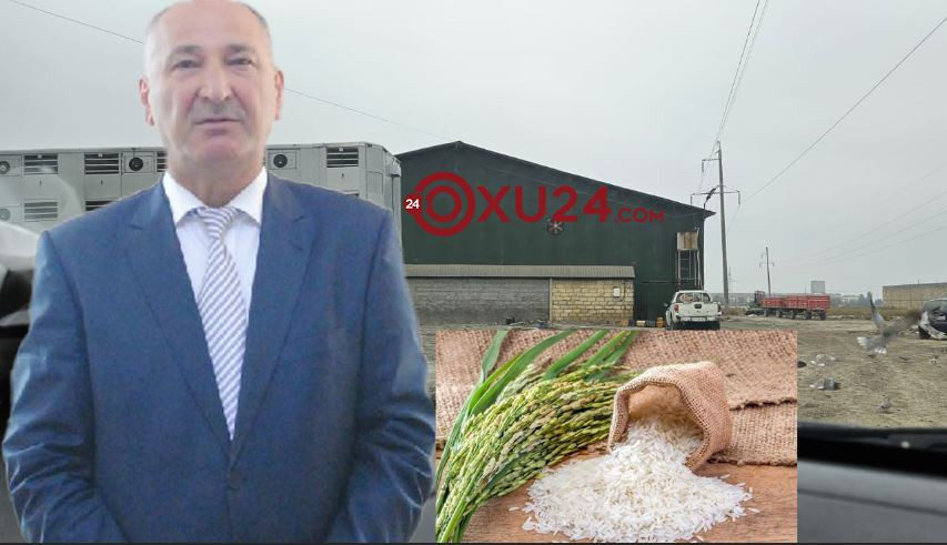 İcra başçısı əkdiyi düyüdən aş qonaqlığı verir   -VİDEO