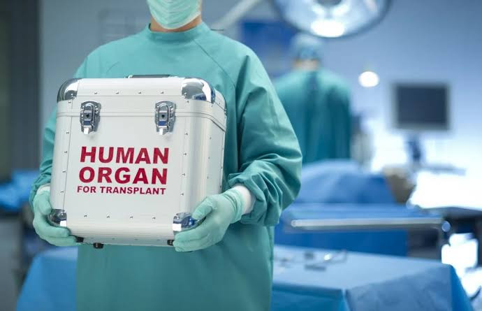 Orqan transplantasiyasında əsas çatışmazlıq nədir? –Ekspert DANIŞDI  