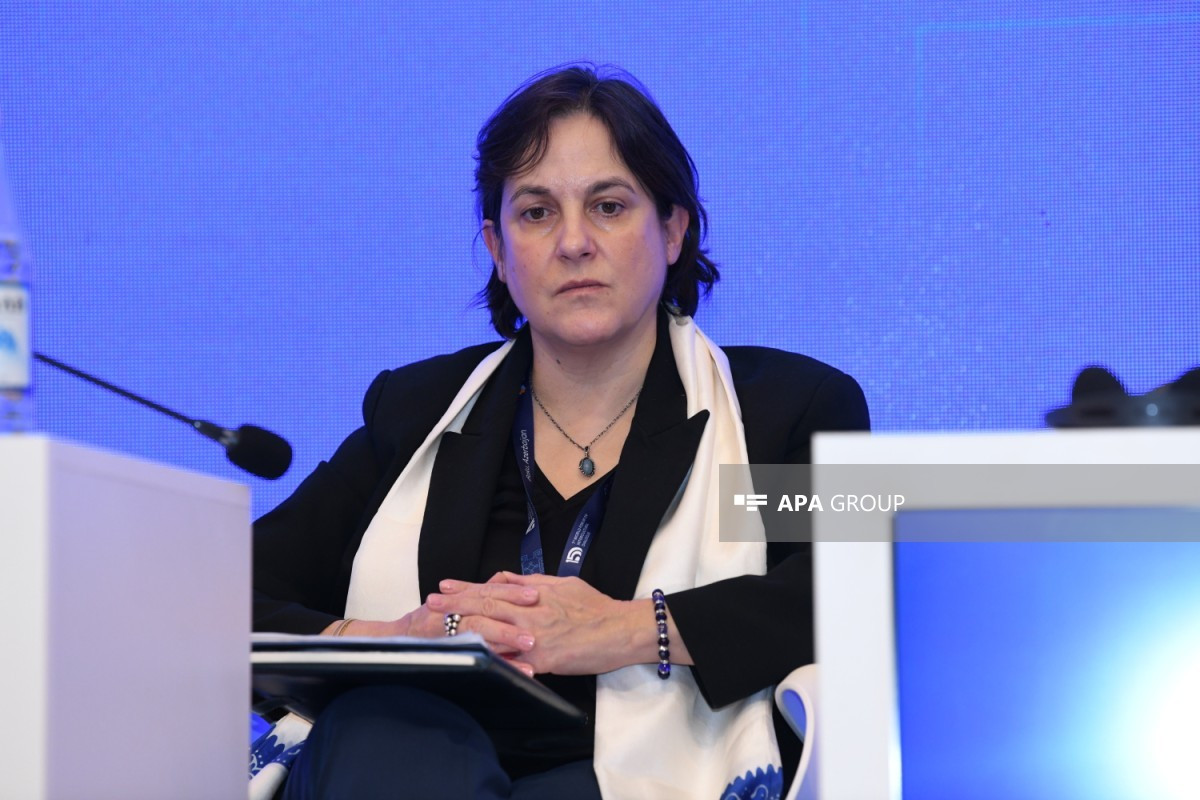 Avropa Şurası rəsmisi: “Birgəyaşayış Azərbaycan cəmiyyətinin DNT-sindədir”