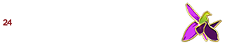 Oxu24com
