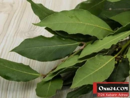 Dəfnə yarpağının möcüzəvi xüsusiyyətləri