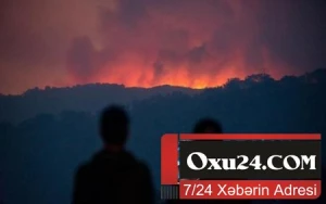 Meşədə yanğın çıxaran gəncə fantastik cəza - 36,6 milyon dollar ödəyəcək