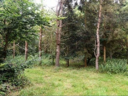 Bu fotodakı 6 snayperi görürsünüz? -